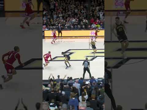 Purdue with the dagger vs. Indiana 😤 #purdue #indiana #basketball #cbb