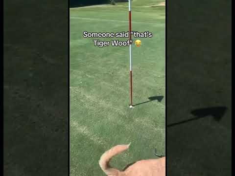 He really did that 😂 (via @heytakeachance/TT)