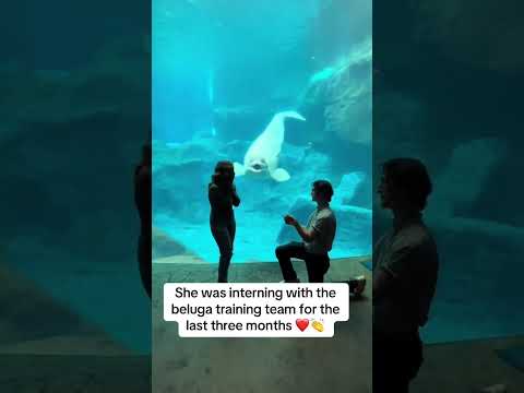 Even the beluga was surprised ๐๐ (via @withloveliv/TT)