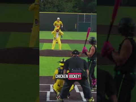 CHICKEN JOCKEY! 🐔 (via thesavbananas/TT)