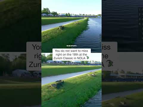 Expect gators when golfing in New Orleans… #shorts