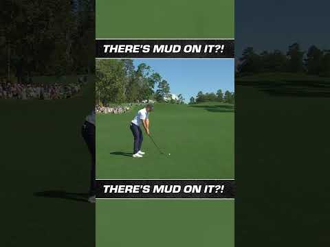 There’s some mud on that ya know?