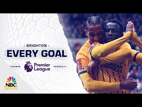 Every Brighton goal scored during the 2024-25 Premier League season | NBC Sports