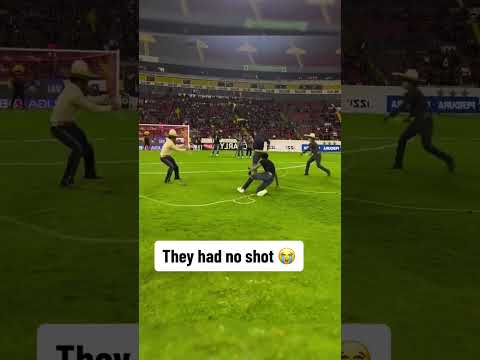 This halftime show ๐ (via @identomkt/TT)