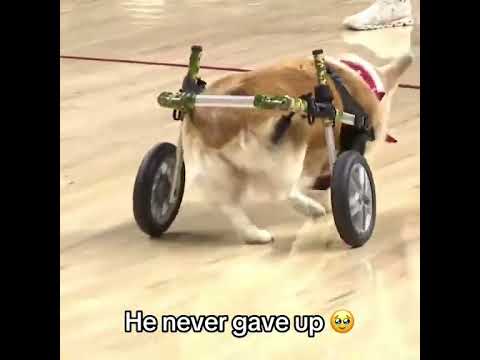 🥹🥹🥹 (via JackAllenTV/X)