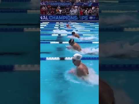 LILLY KING🥇🤝HOME CROWD