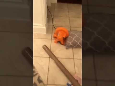 Can’t believe that actually happened 😮 (via @the.gamechangerz/TT)