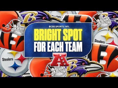 One Bright Spot for EACH AFC North Team: Ravens, Steelers, Bengals & Browns🌟🏈