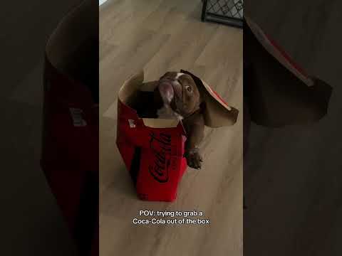 This is too cute 🥹 (via @thelorddorphimous/TT)