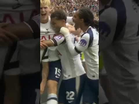 Richarlison has Spurs FLYING ๐