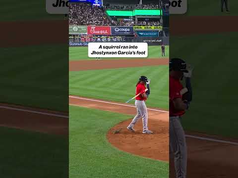 Squirrel runs into Jhostynxon Garcia’s foot 😂 #redsox #baseball #squirrel #mlb