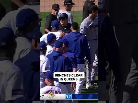 Benches clear in Marlins vs Mets 👀 #baseball #mets #marlins #mlb