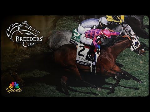 Betting the 2025 Breeders’ Cup: Turf Sprint | NBC Sports