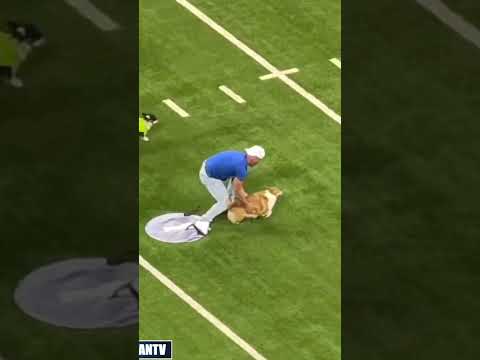 Pat McAfeeโs dog had the ULTIMATE day ๐๐ถ