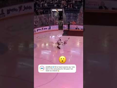 Mascot just powered through it 😅 (via @ohlicedogs, @ohlofficial/IG)