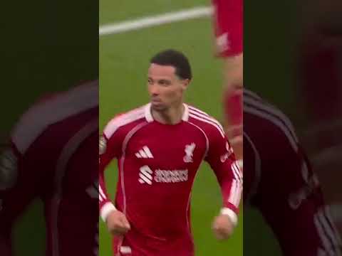 SALAH ASSIST. EKITIKE BRACE ๐ฏ