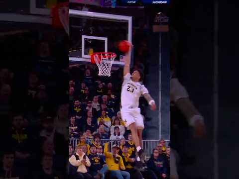 YAXEL LENDEBORG HAMMER 🔨