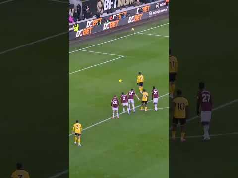 WOLVES CAN’T BE TAMED 🐺