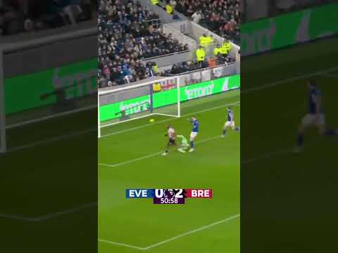 Brentford are buzzing 🐝