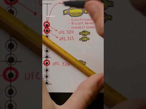 This beginner’s guide to the UFC is a must-watch 🥊 🎨 : Sportsball