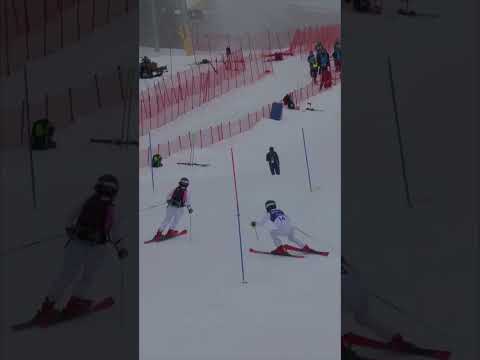 Marek Kubacka is a star ๐