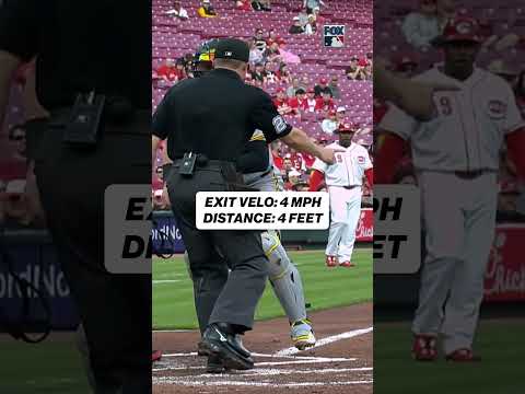 This might be shortest fair ball of the season 😲 #baseball #mlb #fairball