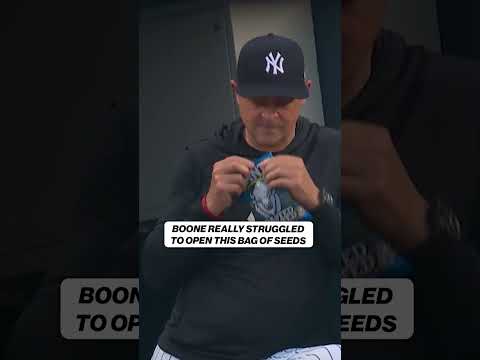 “Boone looked like he was trying to break into Fort Knox to get those seeds” 😂 #mlb #baseball