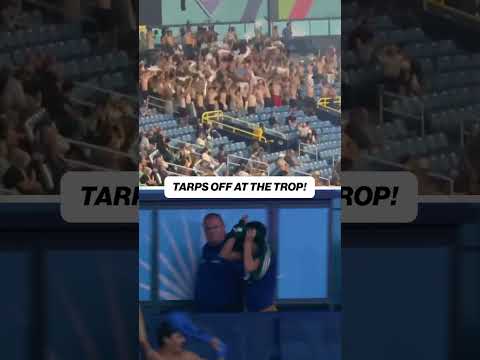 The craze that is sweeping the nation 👕⛔️ #rays #baseball #mlb
