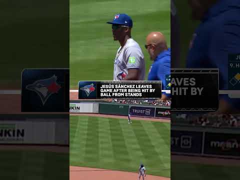 Jesús Sánchez left today’s game after being hit by a baseball thrown by a fan #mlb #bluejays