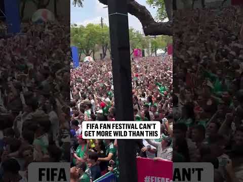 Mexico fans are on another LEVEL