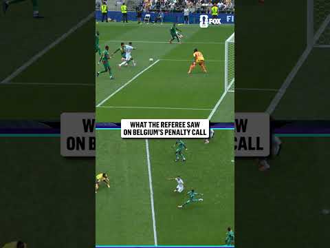 The viewpoint used to award Belgium a penalty kick in extra time