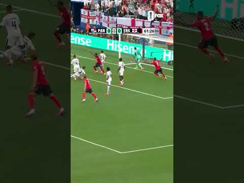 From Haaland braces to Ferran Torres’ FIFA World Cup winning goal, NY/NJ Stadium delivered 🔥