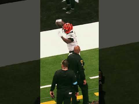 Still thinking about this catch 🤯 #nfl #football #bengals #steelers