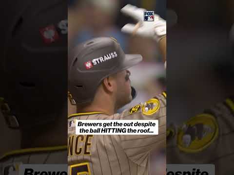 Should this have been a foul ball? 🫣 #foulball #mlb #baseball #padres #brewers