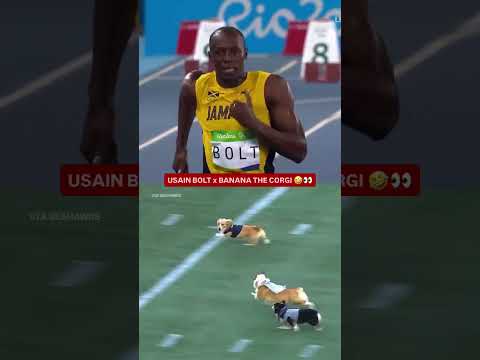Usain Bolt has some competition 👀